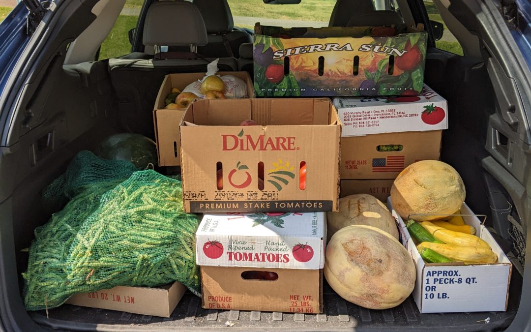 Gleaning at the Agricenter